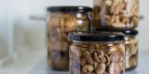 Kako kiseliti ulje na vruć način: recepti za kuvanje za zimu